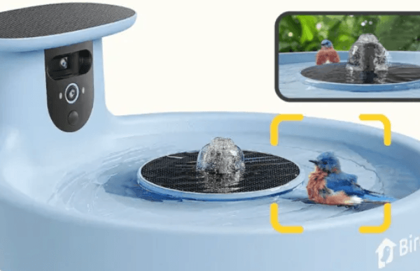Birdfy Bath Pro smart birdbath with AI detection and solar-powered fountain