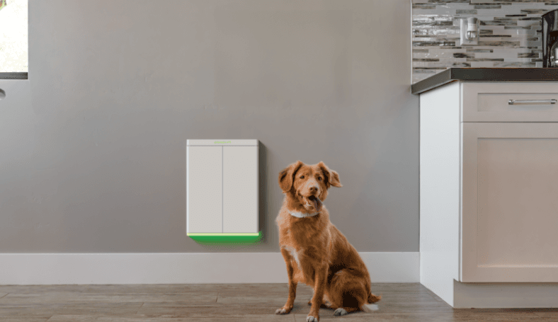 Pawport Smart Pet Door with upgraded security features, including exterior door and dual deadbolts.